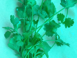 #闹元宵#蒜泥白肉 